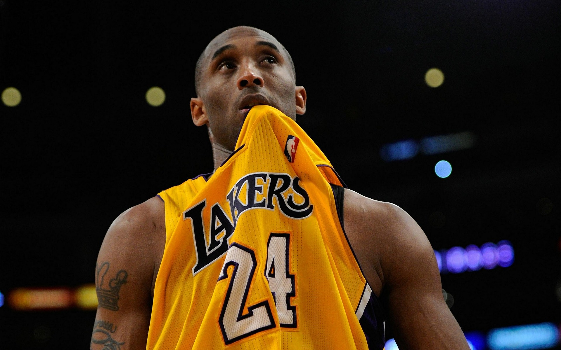 但对于球迷 但对于球迷