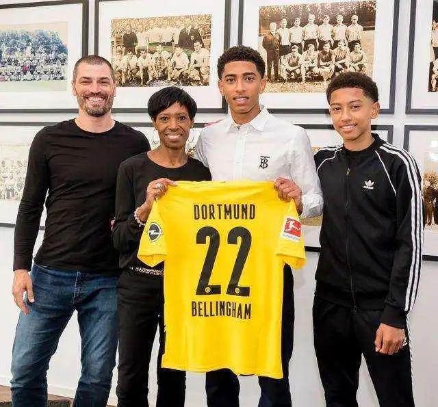 分享观赛体 分享观赛体